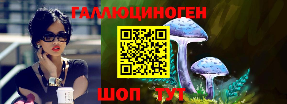 купить наркотики сайты  Галлюциногенные грибы MAGIC MUSHROOMS  Вход с VPN  Строитель 